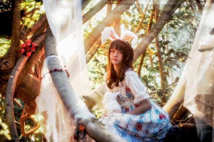 [桜桃喵] – 森林里的lolita兔女郎少女 [9P/10 MB]_图片 No.1