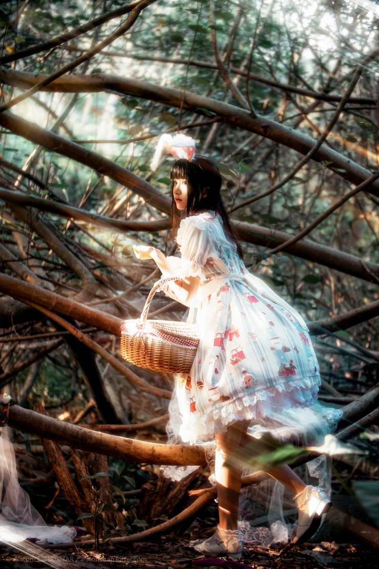 [桜桃喵] – 森林里的lolita兔女郎少女 [9P/10 MB]_图片 No.2